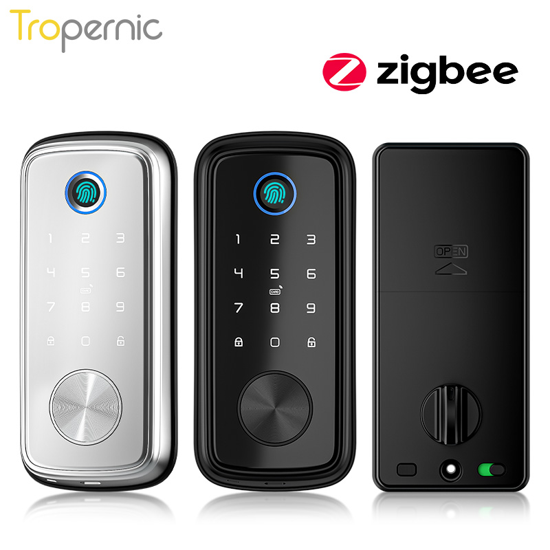 Smart Door Lock Wifi - Tuya Zigbee serrature a catenaccio serratura