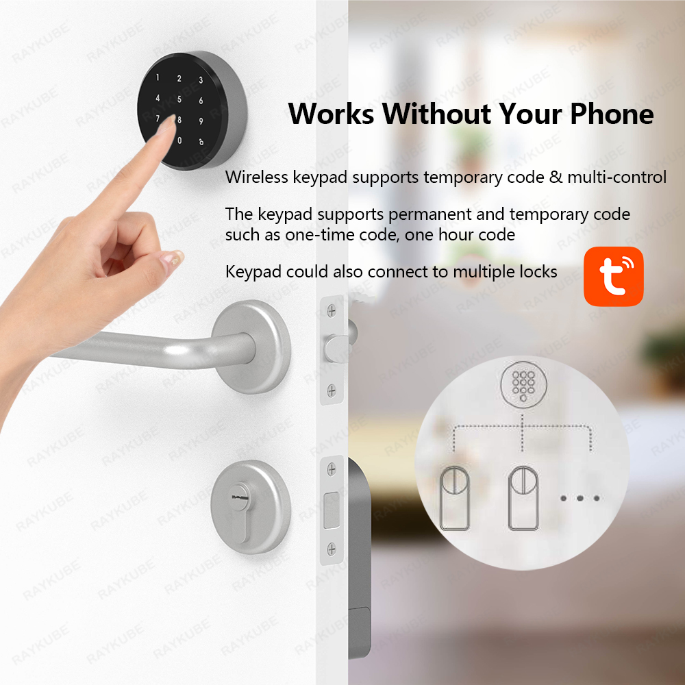 RAYKUBE A1 Pro Tuya BEL Set se - Smart Door Lock Wifi recensione e prezzo