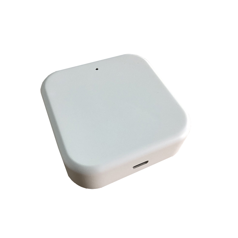 Gateway Smart TTLock G2 WiFi B - Smart Door Lock Wifi recensione e prezzo