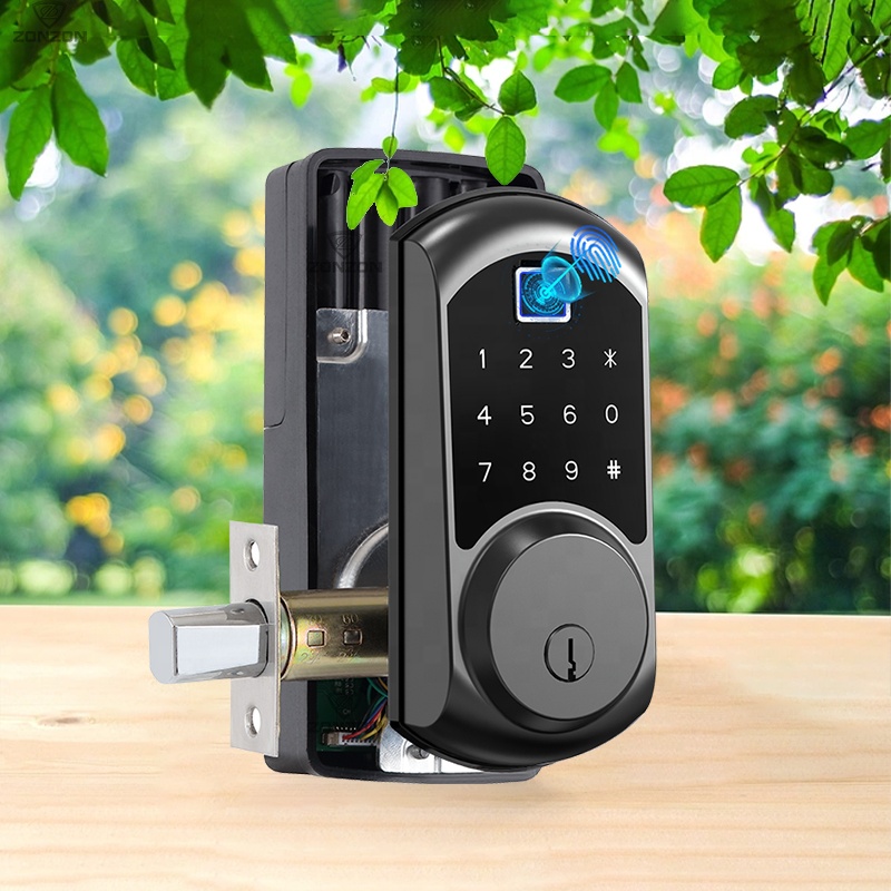 Codice cancello impermeabile S - Smart Door Lock Wifi recensione e prezzo